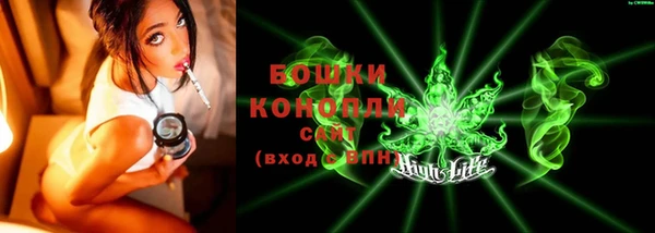 мдпв Вязьма