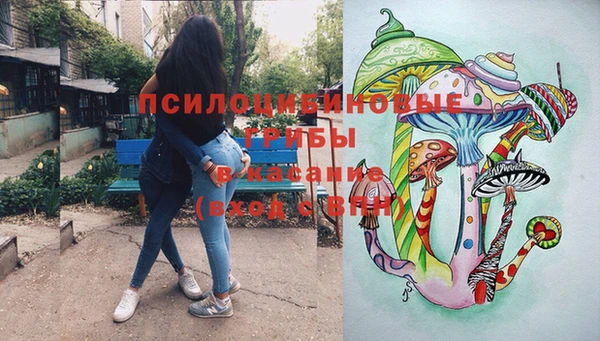 a pvp Абинск