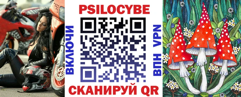 OMG ТОР Железноводск Псилоцибиновые грибы GOLDEN TEACHER
